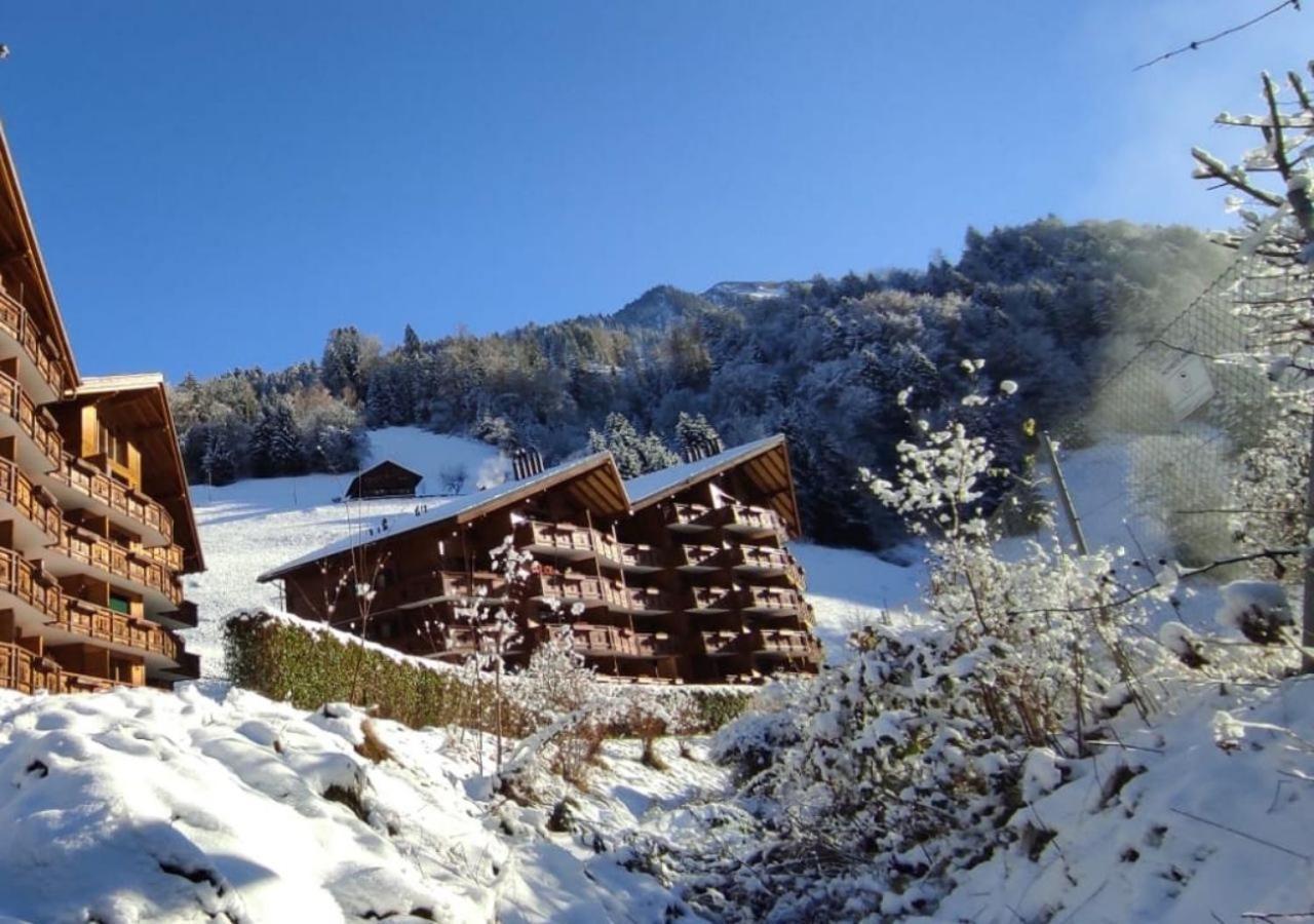 Aparthotel Mountain River Resort Val dʼIlliez Kültér fotó